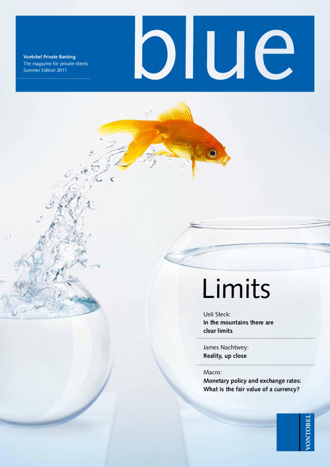 Blue Limits By Bank Vontobel Ag Issuu
