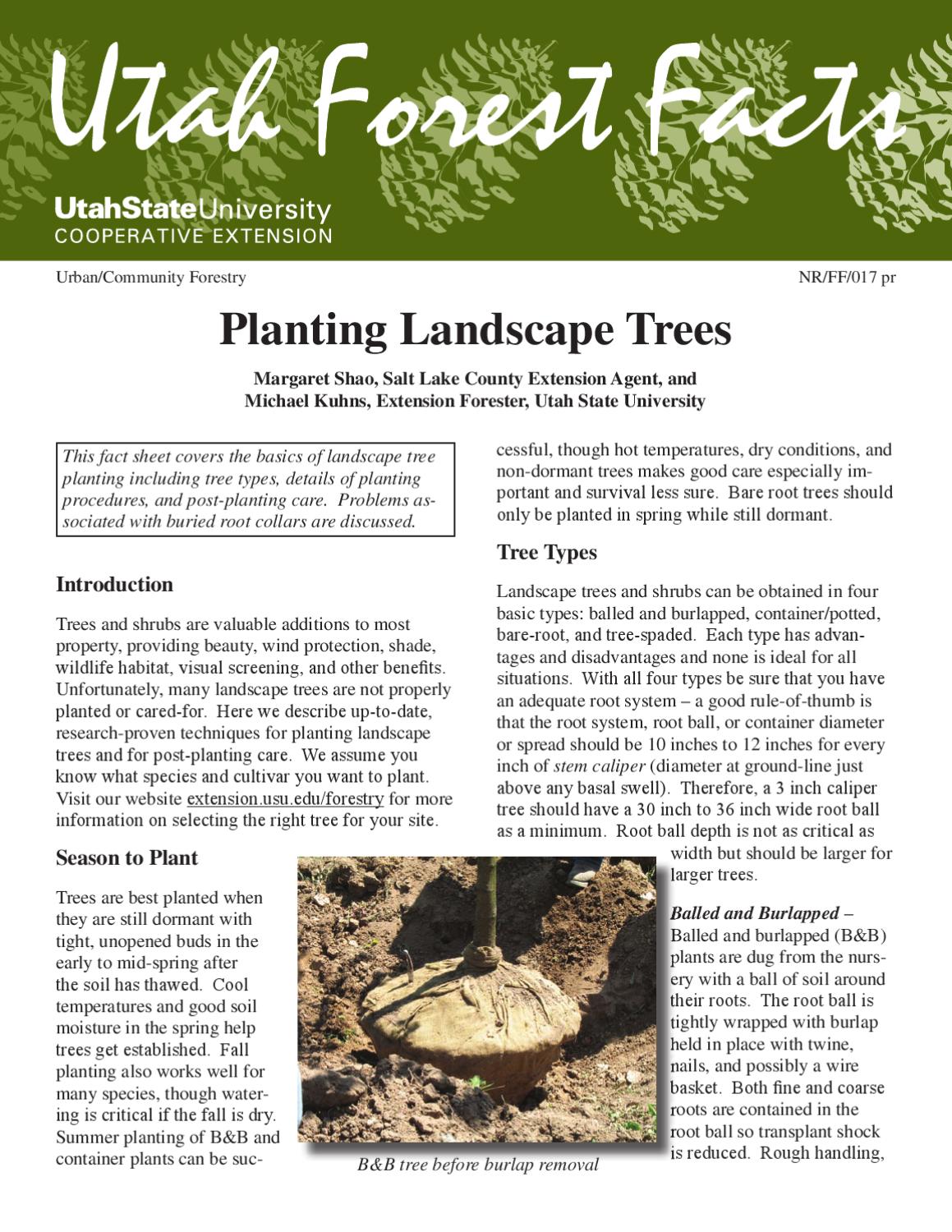 How to Plant a Tree by Utah State University Extension - Issuu
