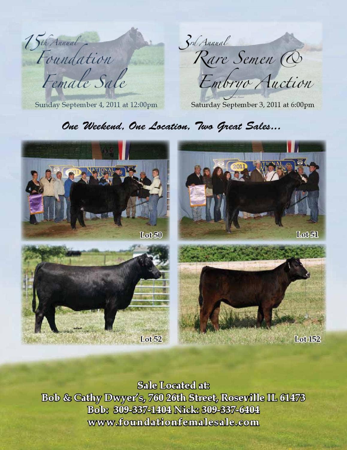 15th Annual Foundation Female Sale by Dwyer Cattle Services Issuu