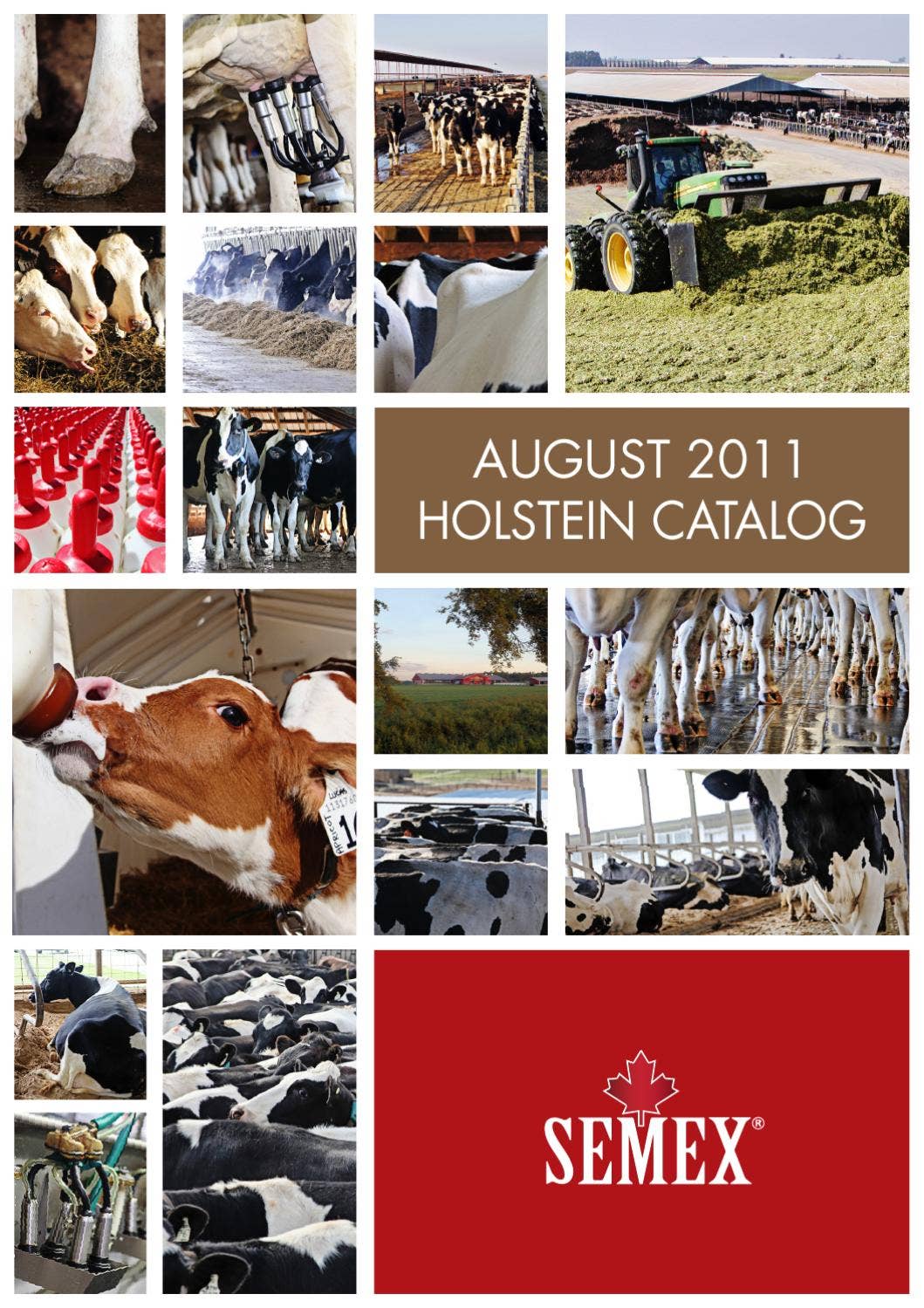 Semex August 2011 USA Holstein Catalog by Semex Issuu