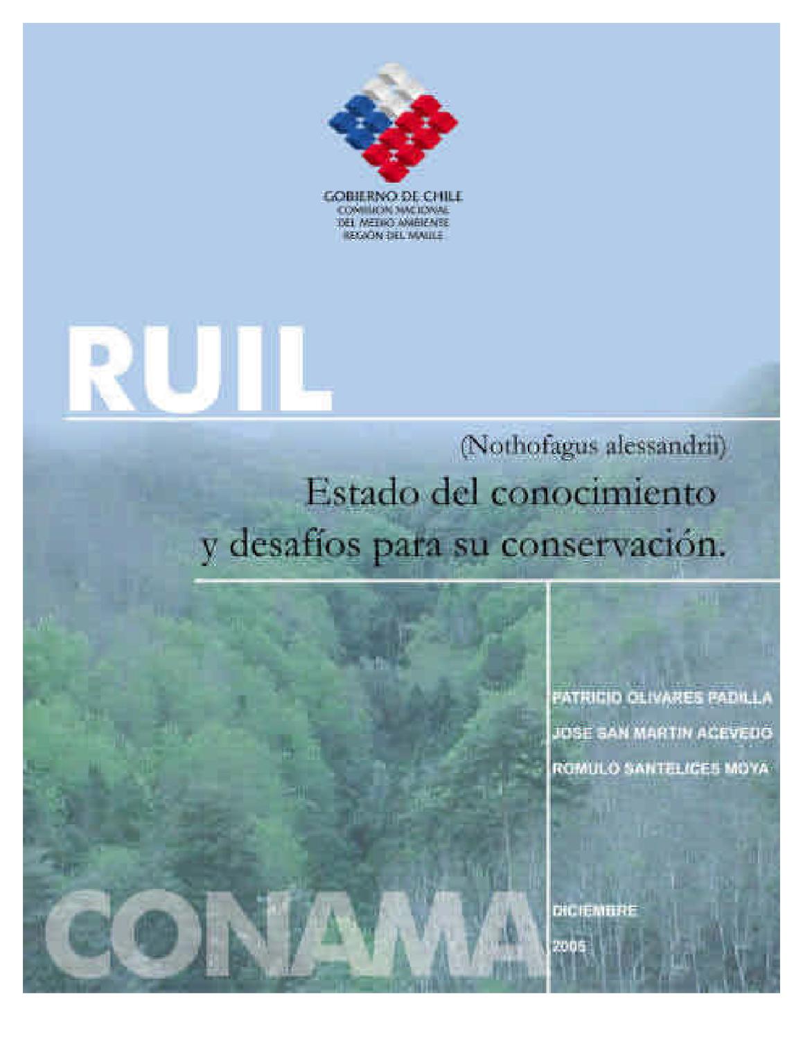 RUIL (Nothofagus alessandrii) by Fernando Ruz chileangarden Issuu