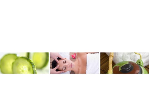 Spa Center 家具手册 第 2 页