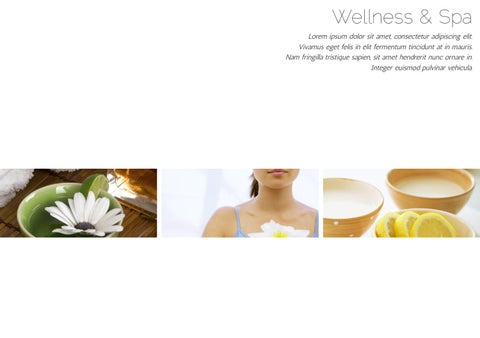 Spa Center 家具手册 第 3 页