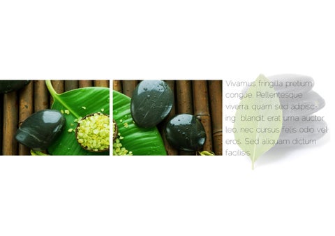 Spa Center 家具手册 第 9 页