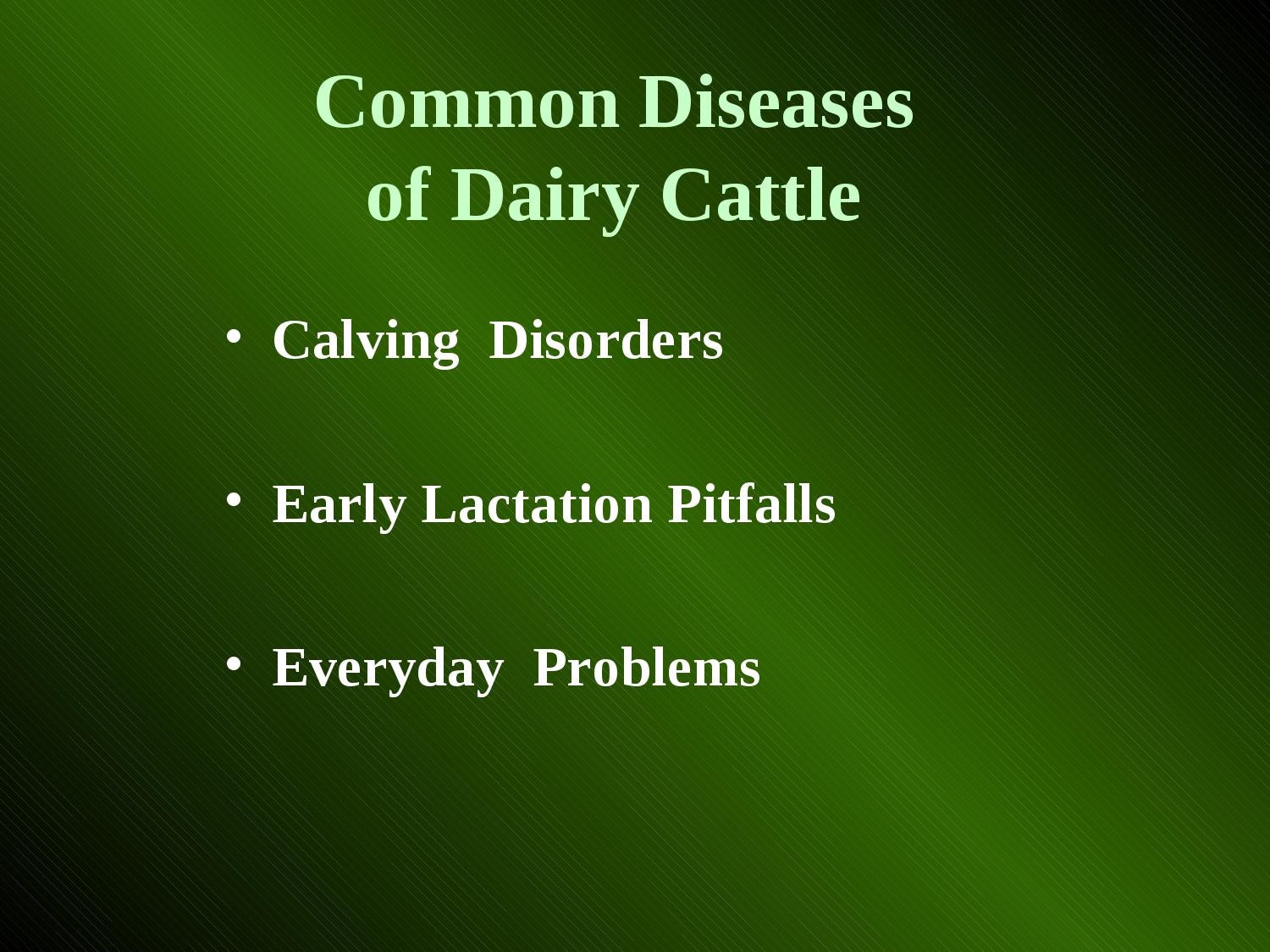 Common Diseases of Dairy Cattle by Abohemeed Aly Issuu