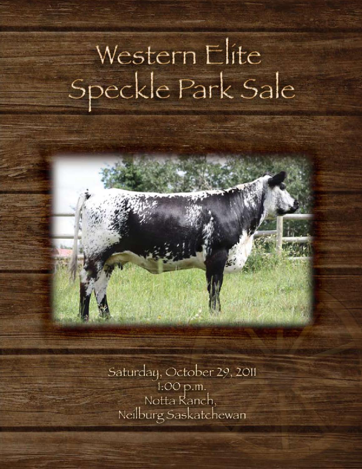 Western Elite Speckle Park Sale by Today's Publishing Inc. Issuu