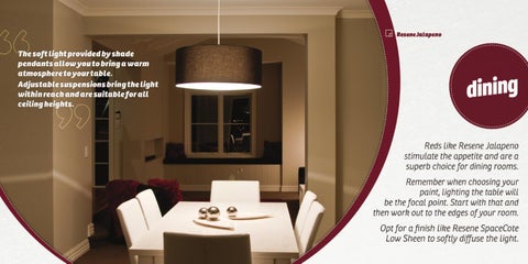 Lighting Plus The × Resene Shades 灯饰型录 第 3 页