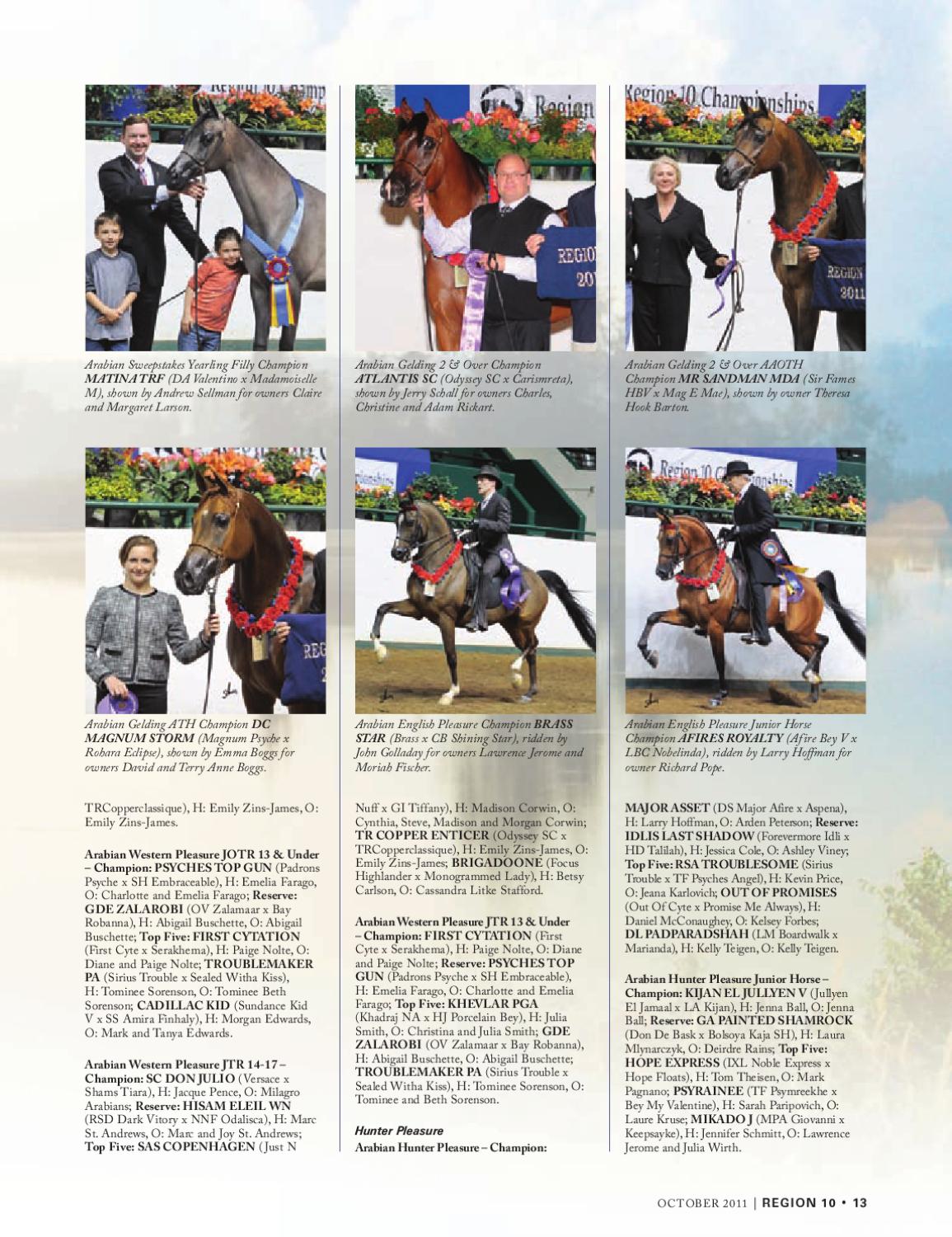 Arabian Horse Times October 2011 by Arabian Horse Times - Issuu