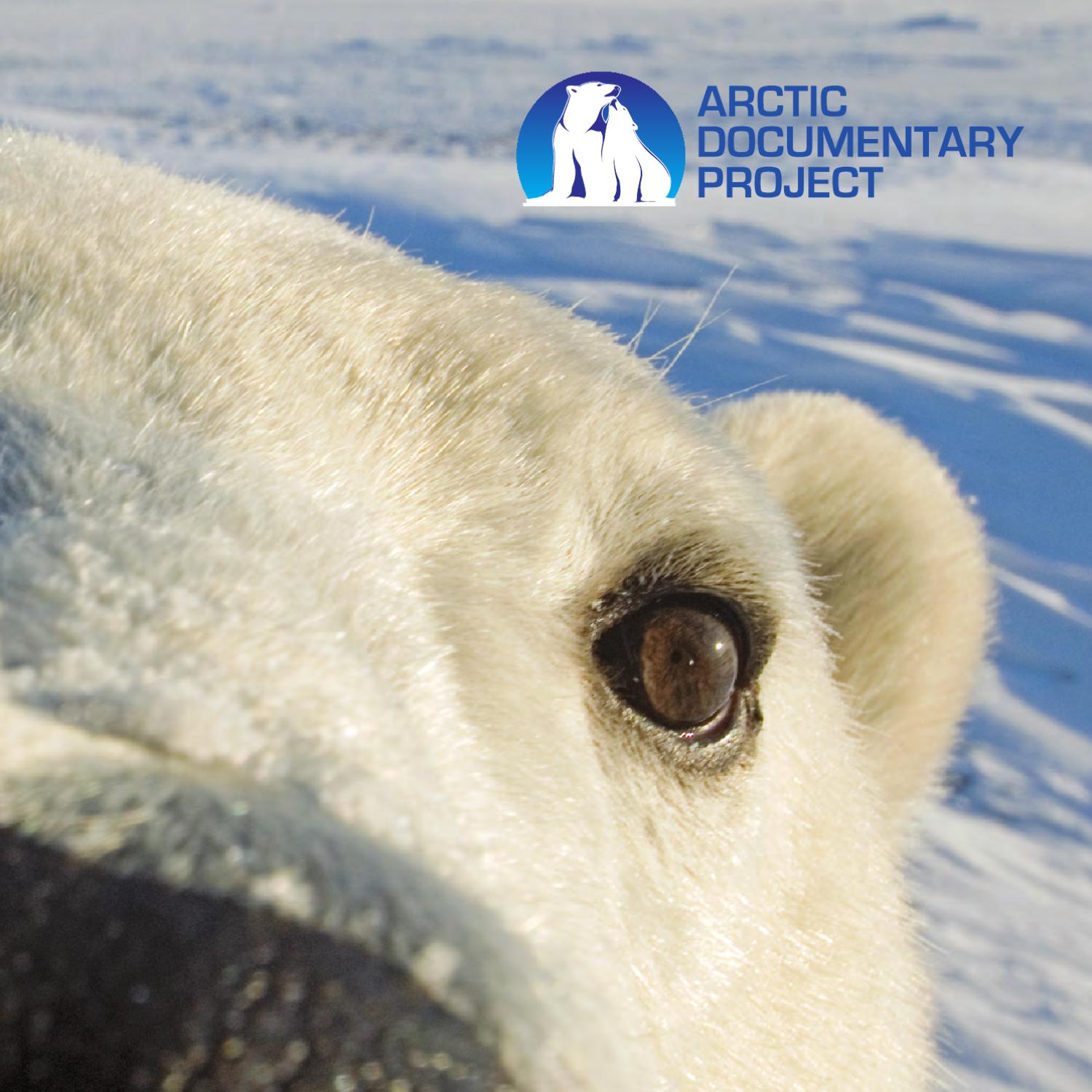 'Folktales': The Arctic Documentary That Will Change Your Perspective - ckhduqb