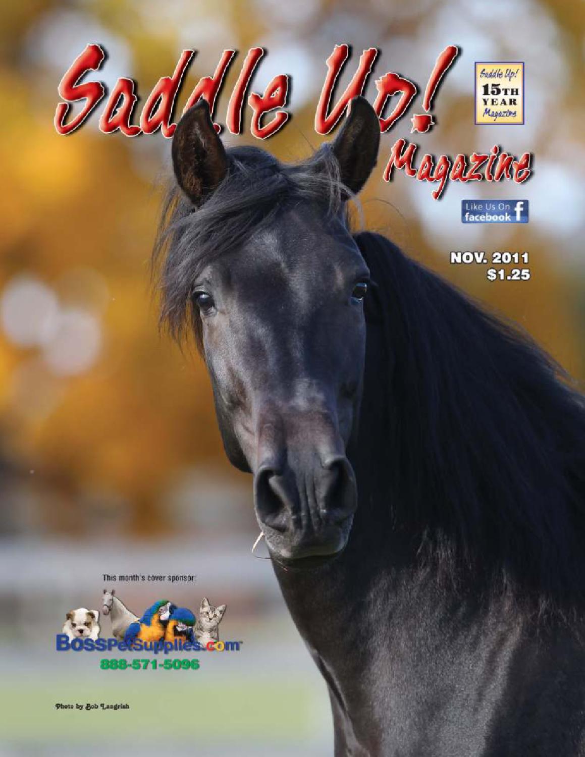 25+ Iosco County Animal Shelter RalfTazeem