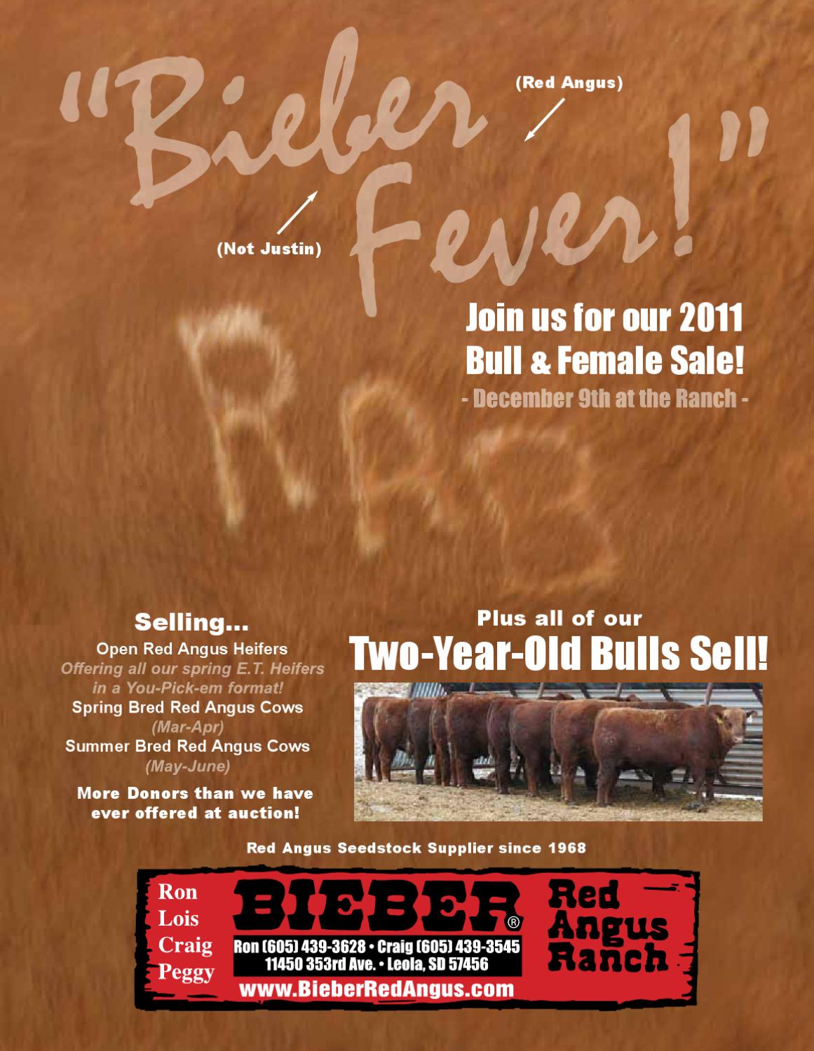 Bieber 2011 Catalog by EDJE Issuu