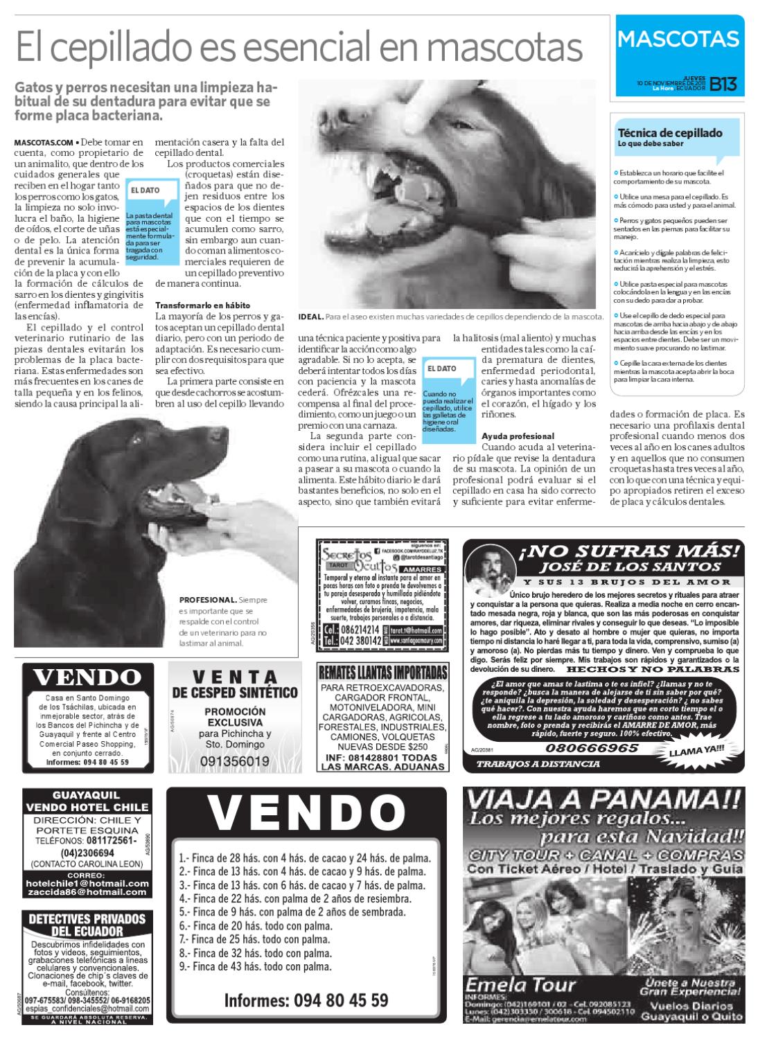 impotencia de la placa dental