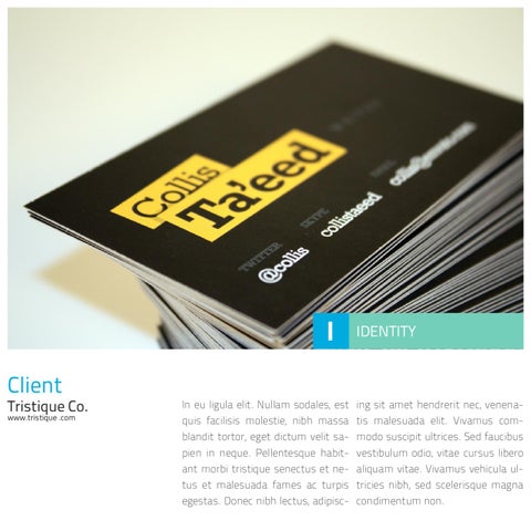 Portfolio 小册 template 第 14 页