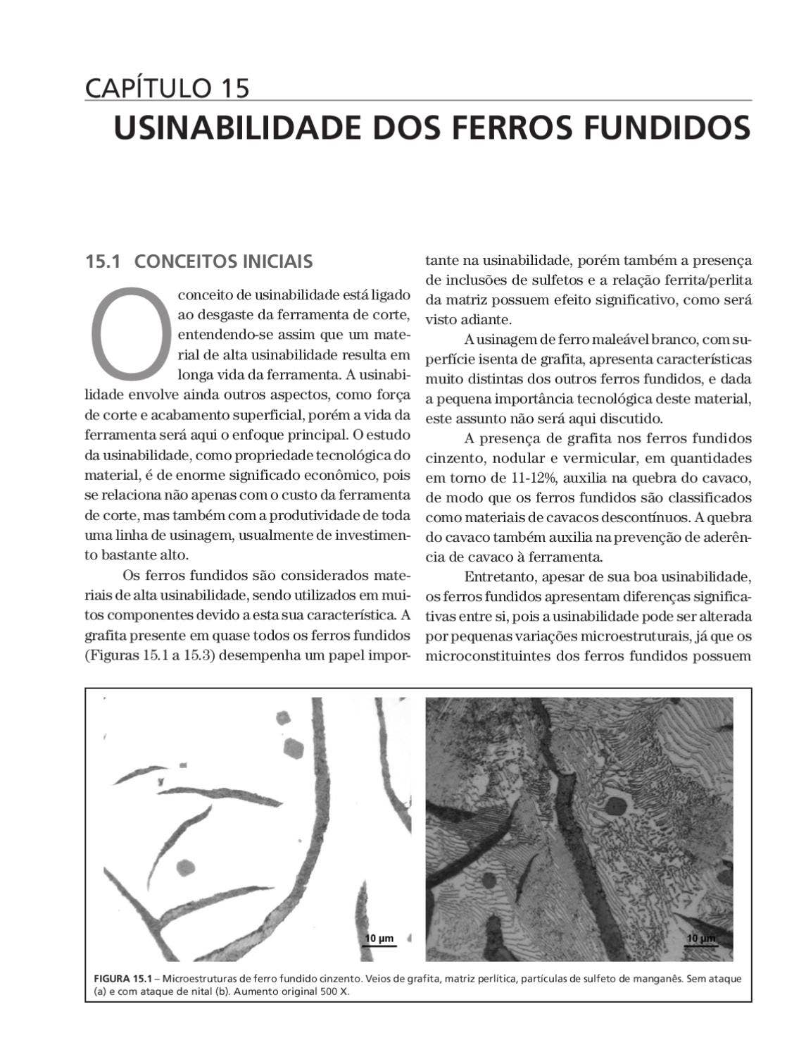 Artículo Regular CARACTERIZAÇÃO MICROESTRUTURAL DE AÇOS BAIXO CARBONO POR  MICROSCOPIA DE FORÇA ATÔMICA RESUMO MICROSTRUCTU, image size:1145x1500