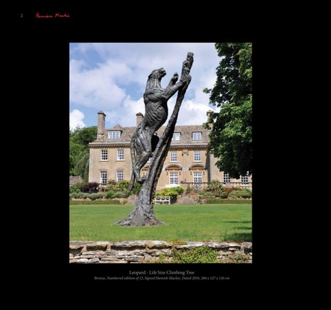 Hamish Mackie 第 4 页