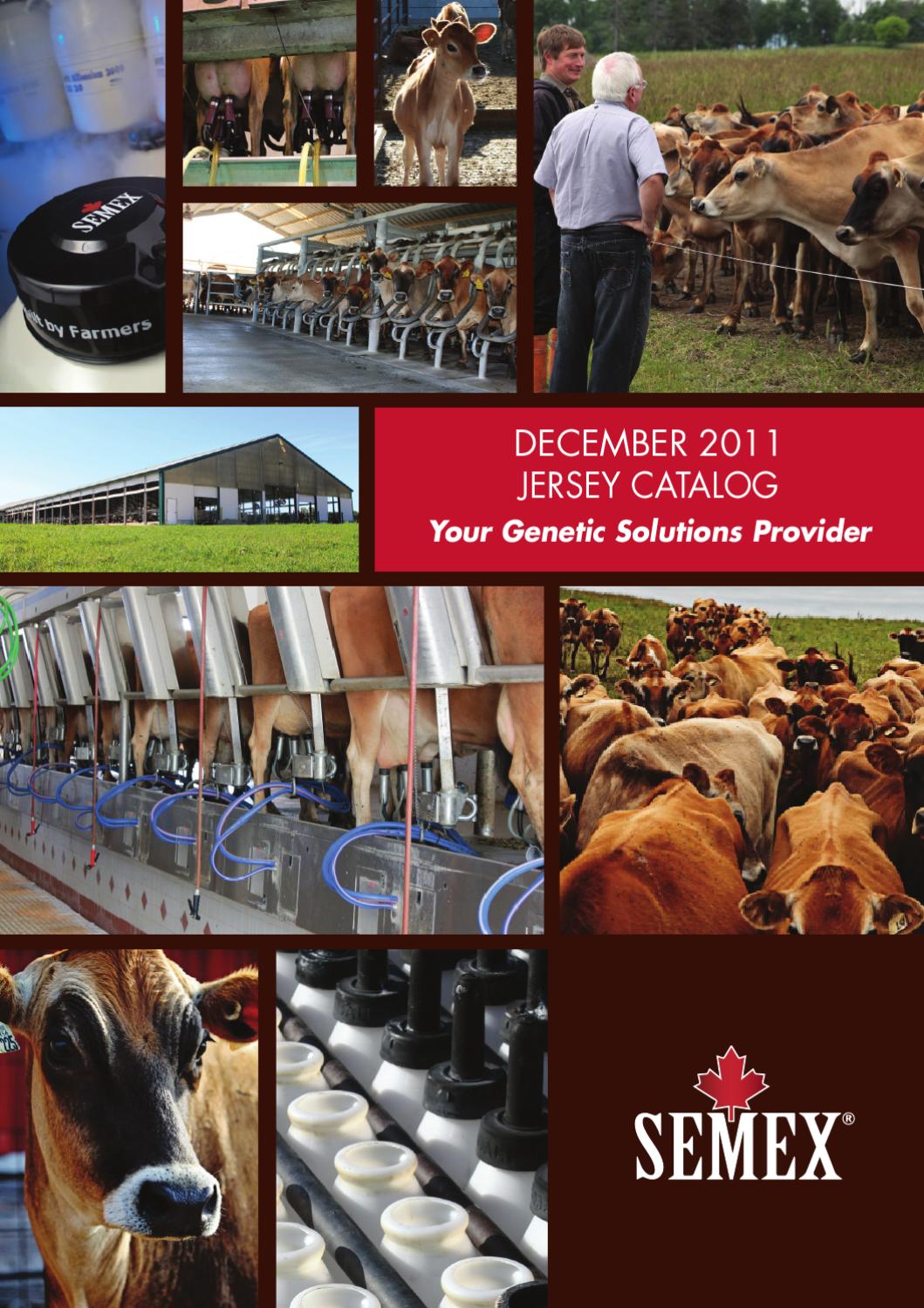 Semex December 2011 USA Jersey Catalog by Semex Issuu