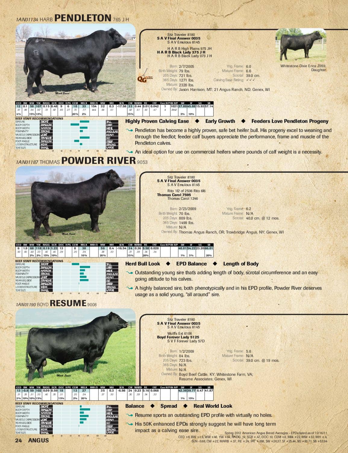 2012 Genex Beef Management Guide by GENEX Issuu