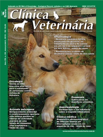 malattia dei reni in casa dieta alimentare cane