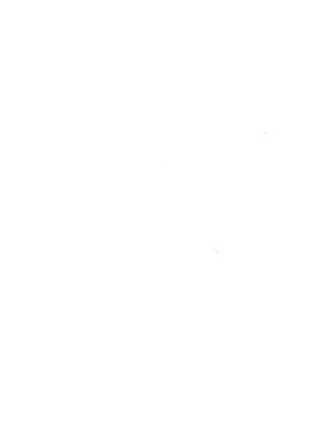 mallett 2010 灯饰目录 第 4 页