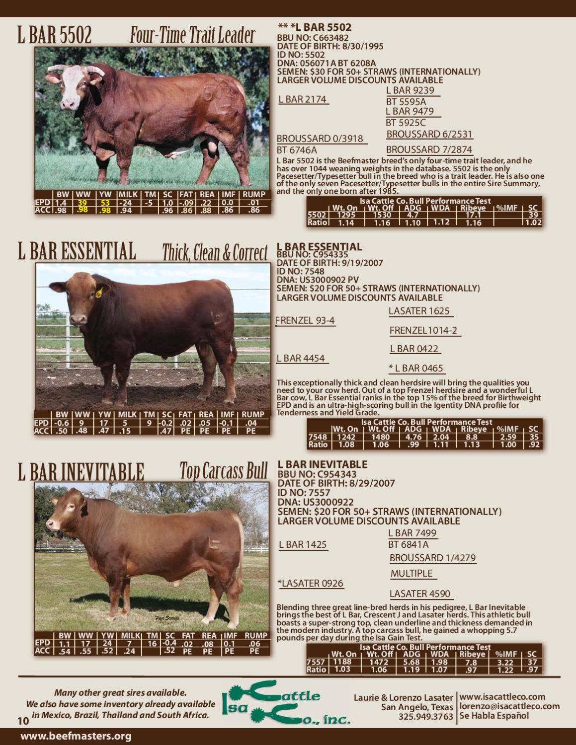 COWページ！ 0019656638851