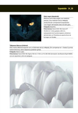Editorial Blume 灯饰目录 · Iluminación 第 7 页
