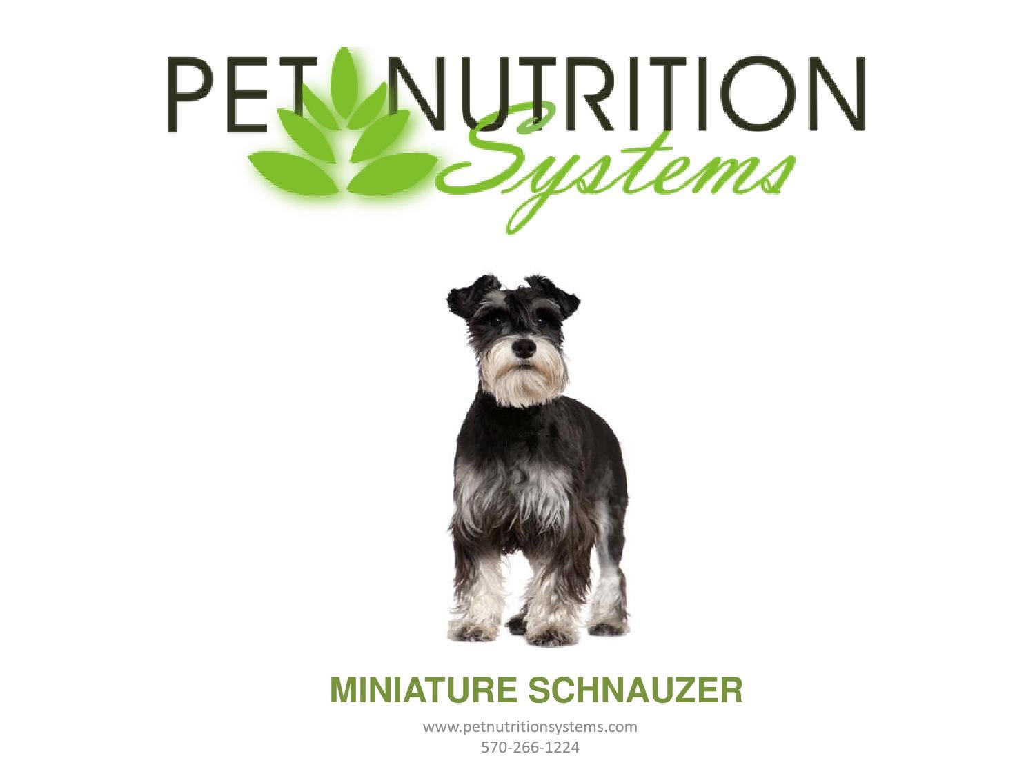 Miniature Schnauzer Breed Specific Diet Plan by Pet Nutrition Systems