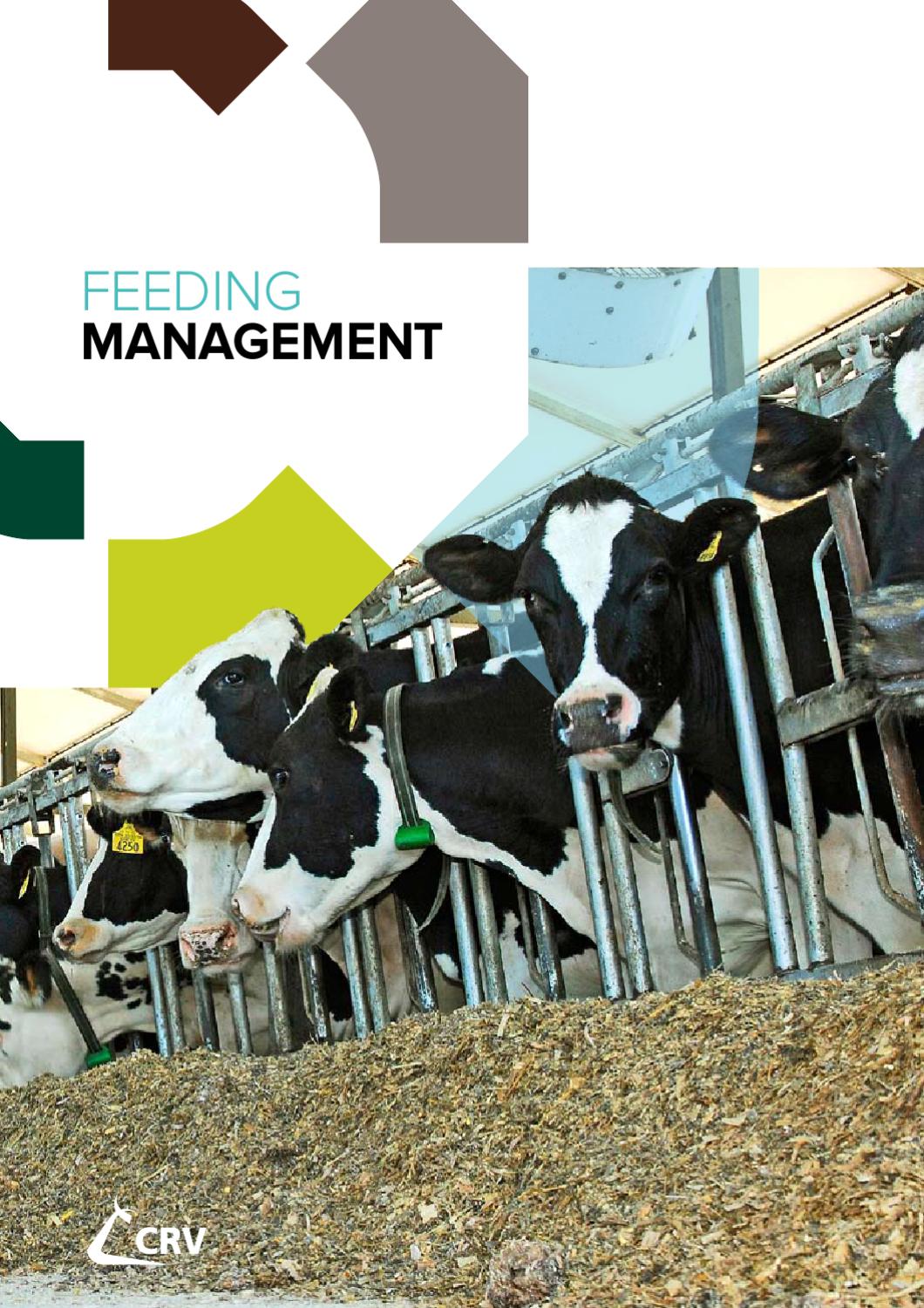CRV Dairy Management Guide Feeding Management by CRV Global Sales Issuu