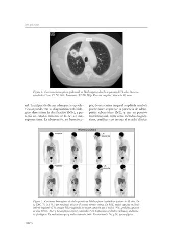 Page 263