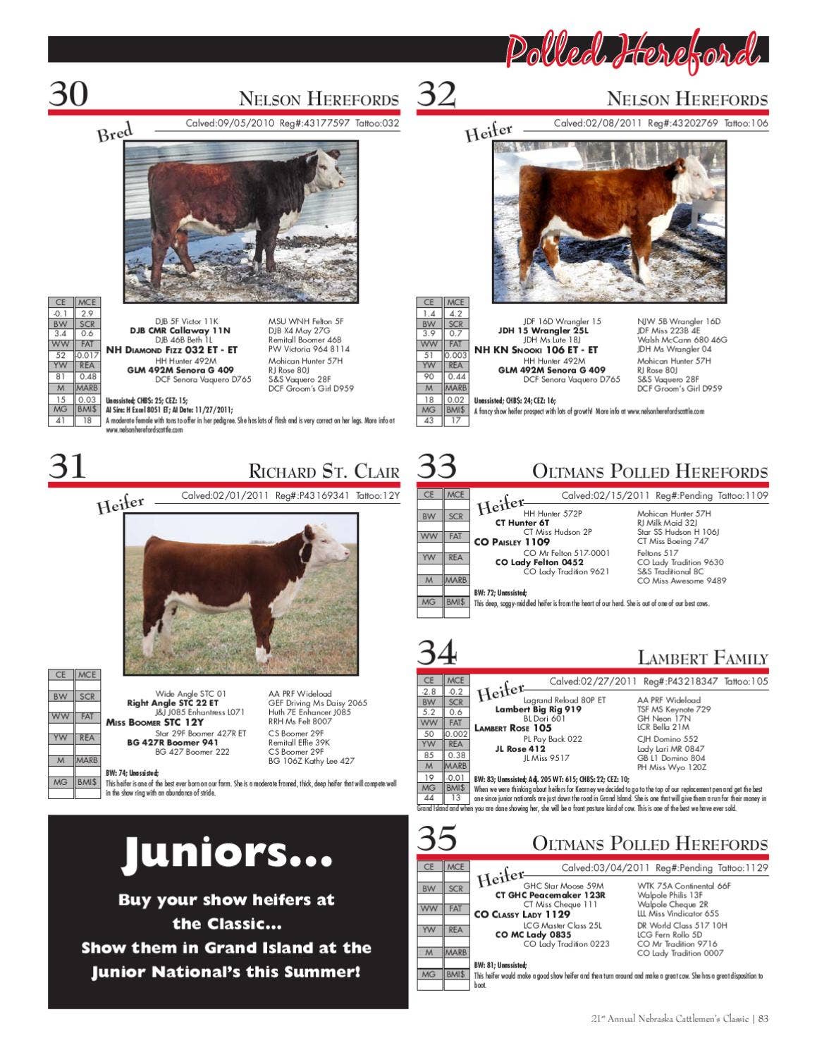 2012 Nebraska Cattlemen's Classic Beef Catalog by EDJE Issuu
