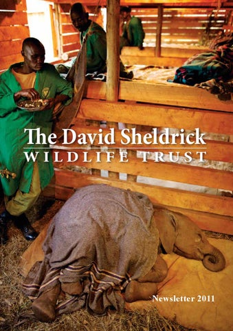 DSWT Annual Newsletter 2011 by Sheldrick Wildlife Trust - Issuu