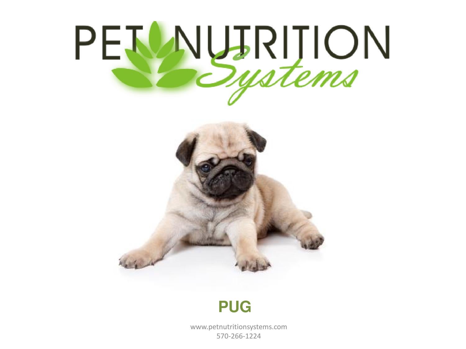 PUG Breed Specific Diet Plan by Pet Nutrition Systems Issuu