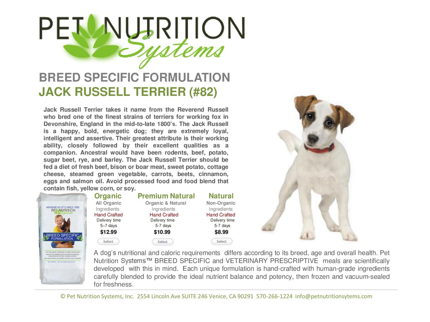 Jack Russell Breed Specific Diet Plan by Pet Nutrition Systems Issuu