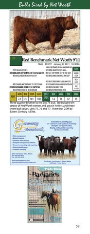Makin' the Grade Bull Sale by Canadian Angus Association - Issuu