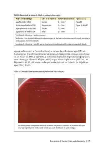Page 206