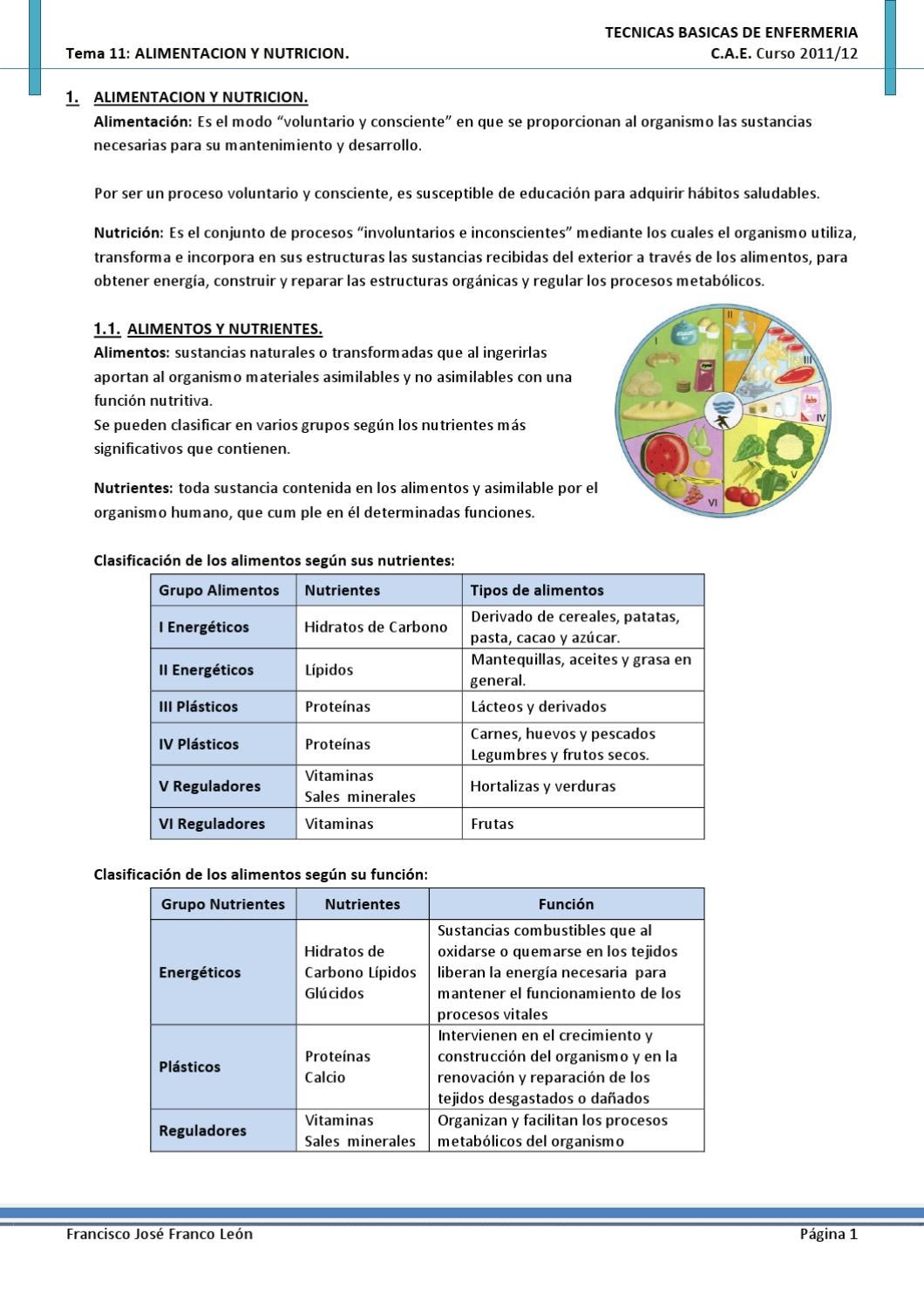 grupo de alimentos clasificacion y valor nutritivo