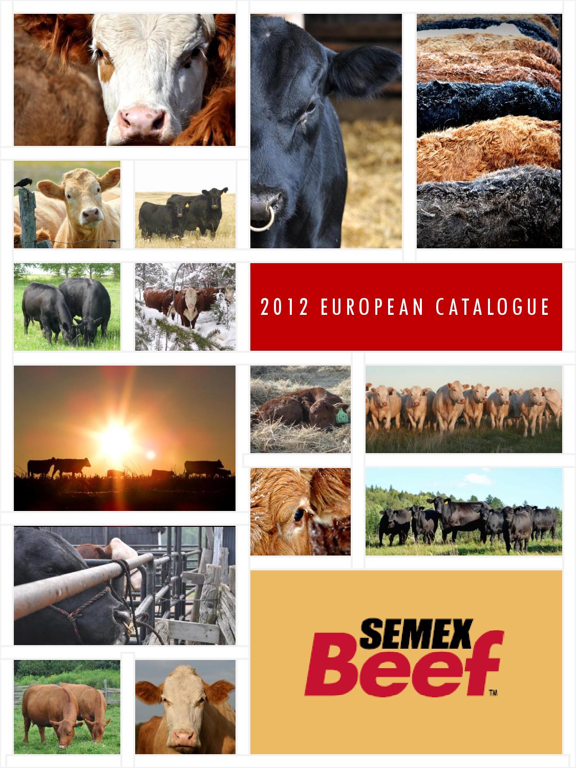 Semex 2012 EU Beef Catalogue by Semex Issuu