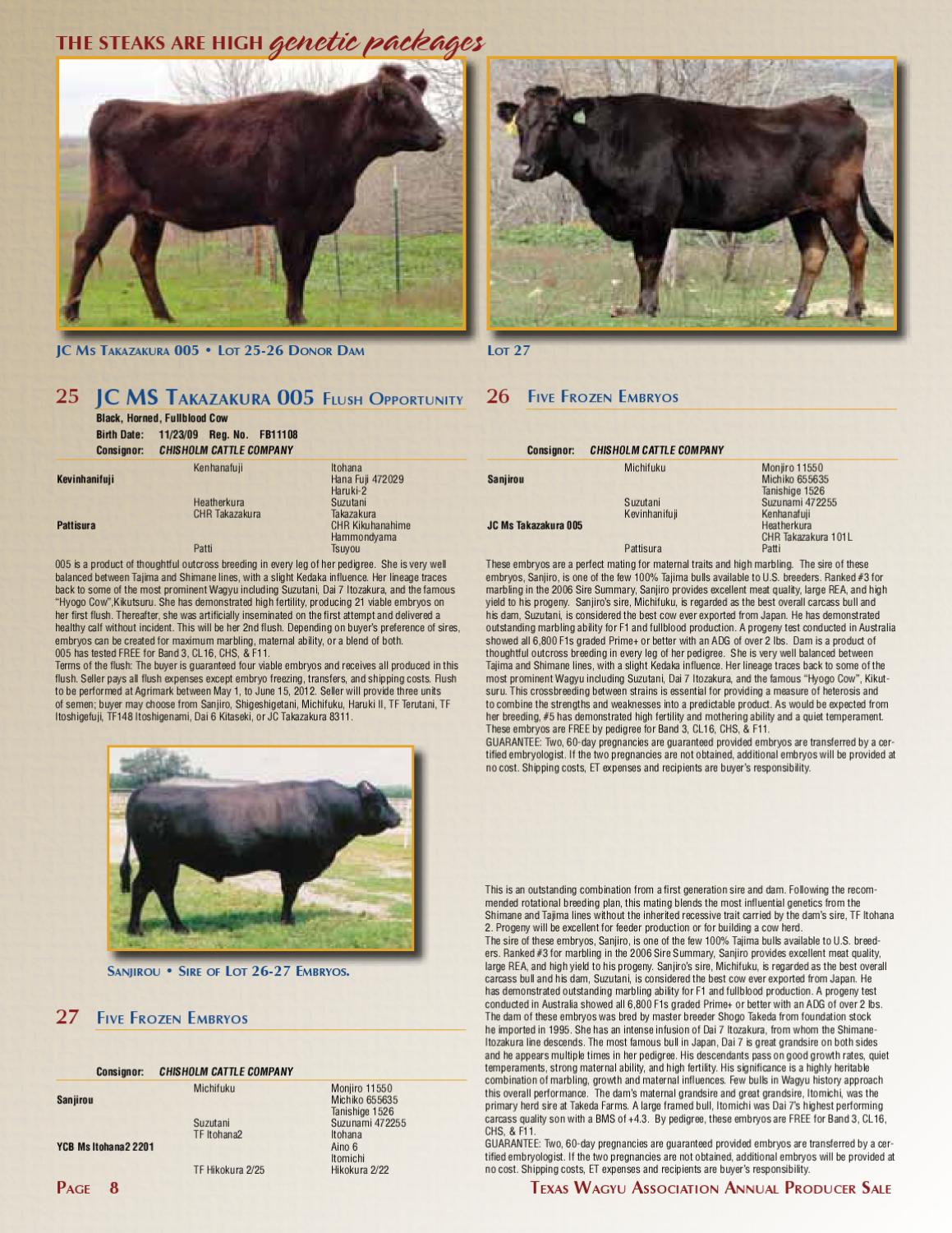 The Steaks are High Wagyu Sale by Cattle In Motion, LLC Issuu