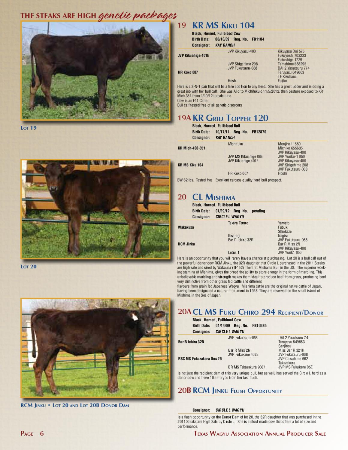 The Steaks are High Wagyu Sale by Cattle In Motion, LLC Issuu