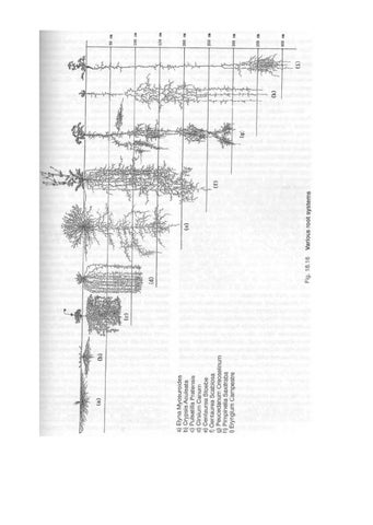 Page 259