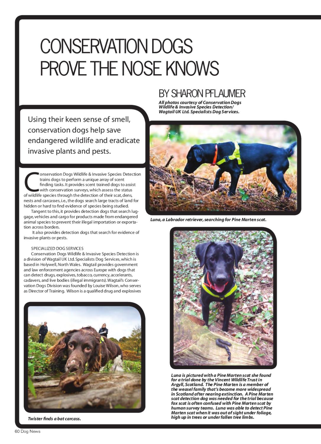 Dog News, April 27, 2012 by Dog News Issuu
