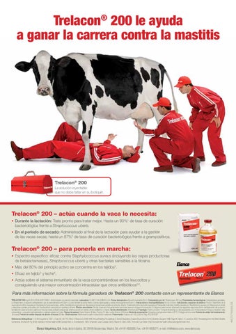 SlowTon Dog Arn/és para el autom/óvil con cintur/ón de Seguridad Multifunci/ón Ajustable Traje de Malla Transpirable Doble Correa de Seguridad Regular con cintur/ón