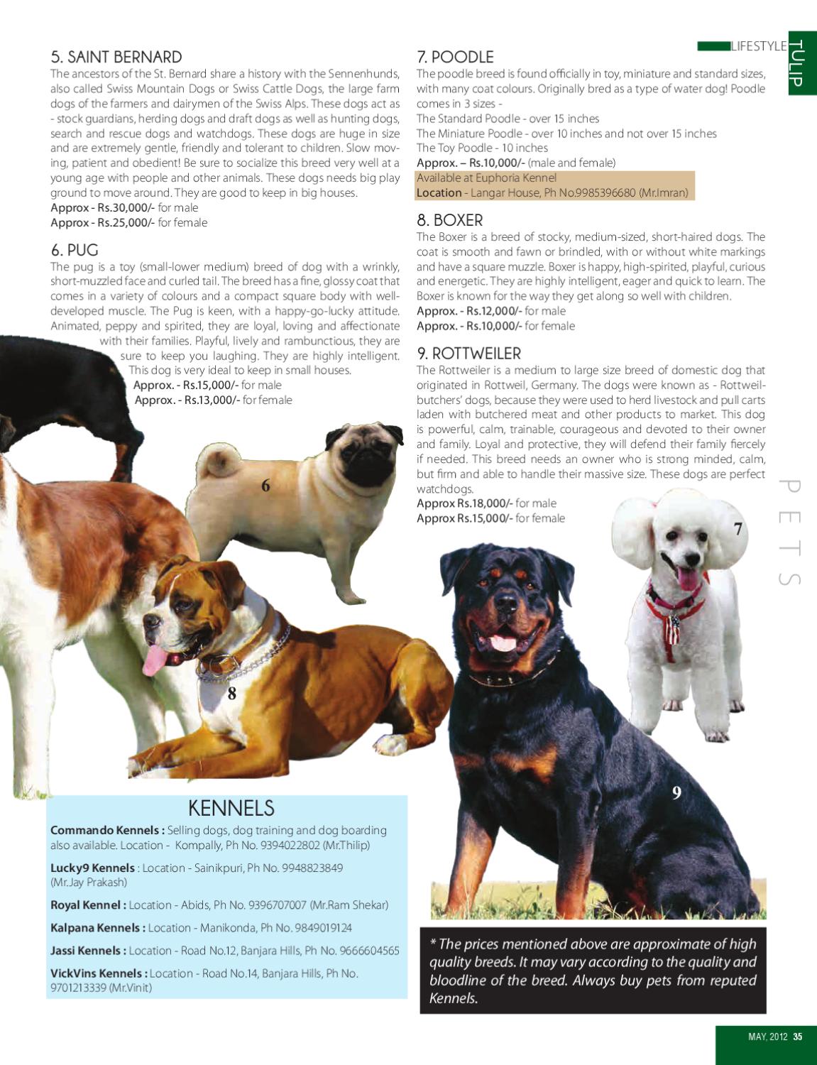 commando kennels dog training cost