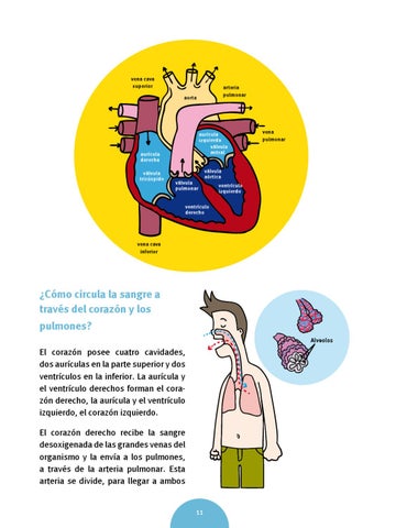Tiene más preguntas sobre causa de hipertensión?