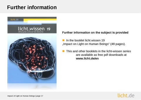 Presentation slides: Impact of 灯饰 on Human Beings 第 17 页
