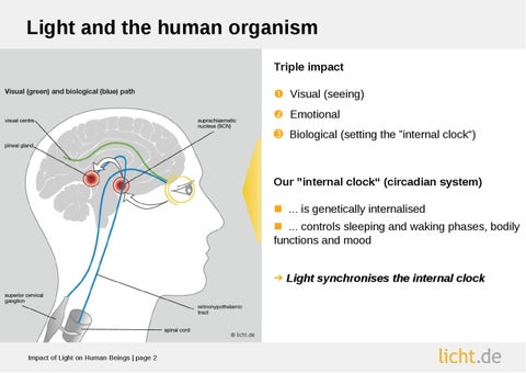 Presentation slides: Impact of 灯饰 on Human Beings 第 2 页