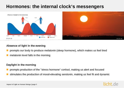 Presentation slides: Impact of 灯饰 on Human Beings 第 5 页