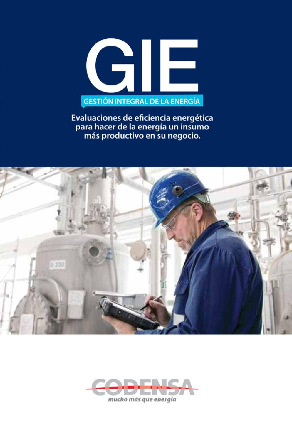 GIE_Codensa by LEGIS EDITORES SA - Issuu