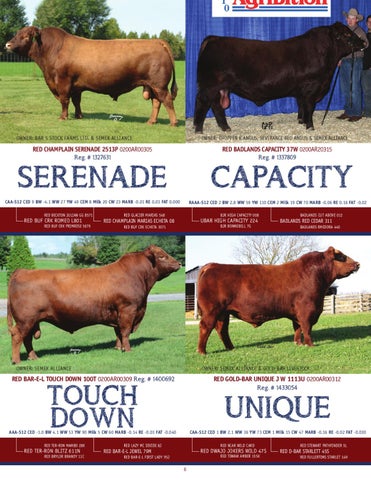 2012 Semex Beef Angus Brochure by Semex - Issuu