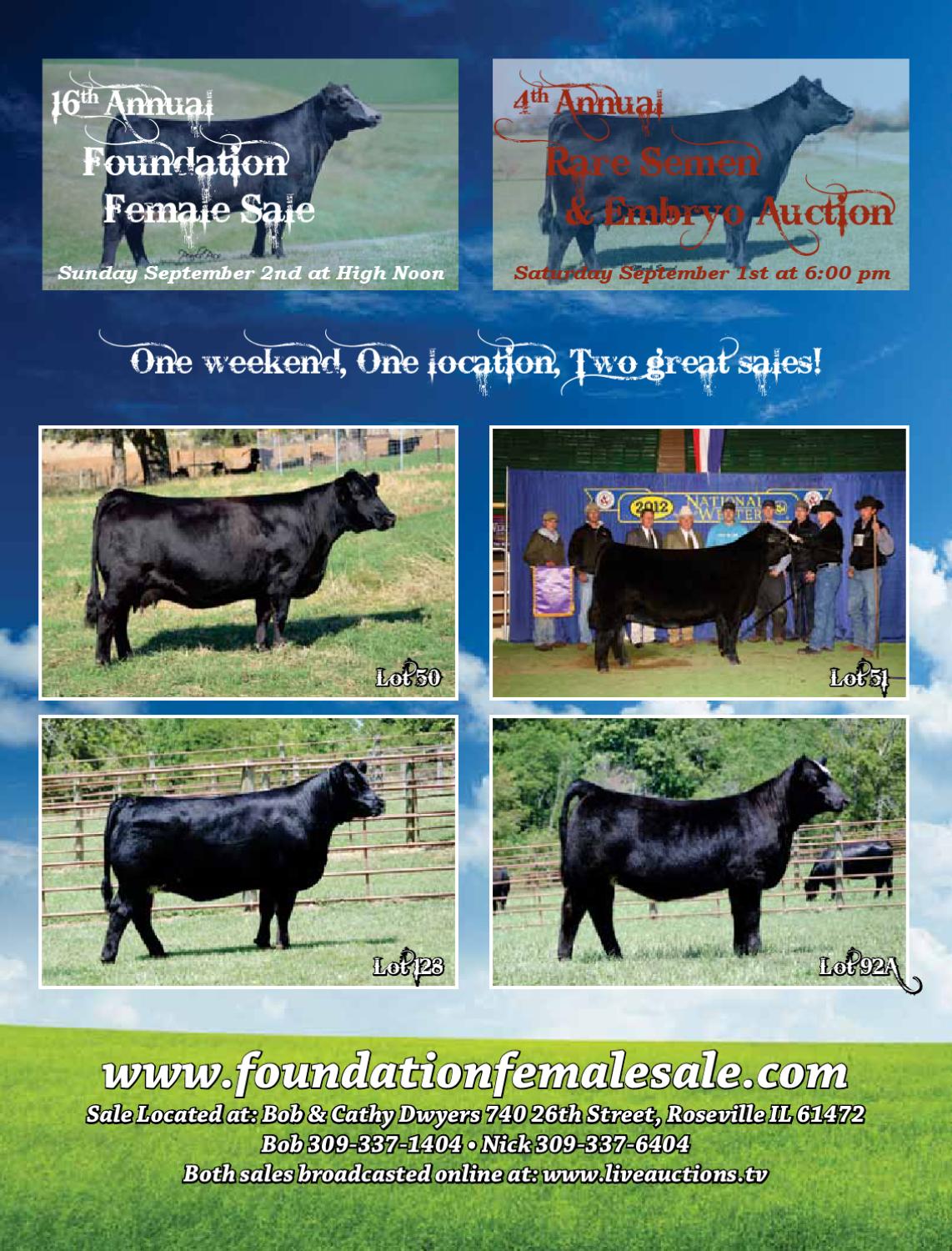 2012 Foundation Female Sale by Dwyer Cattle Services Issuu