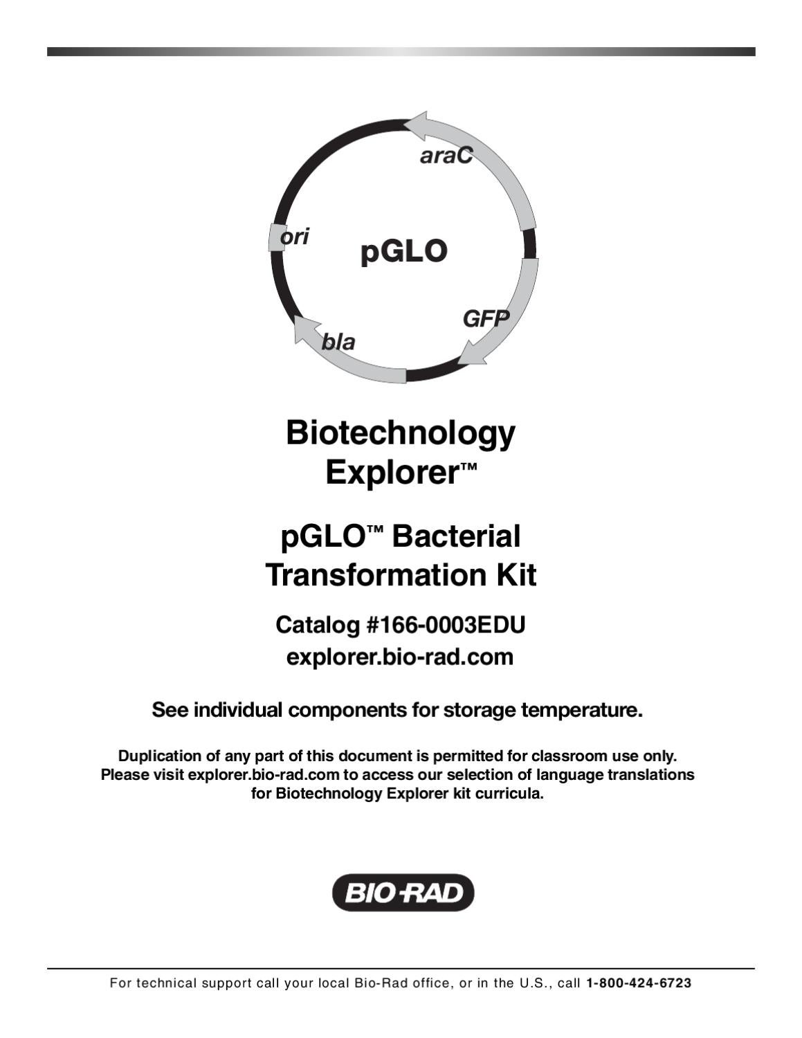 bacterial transformation lab